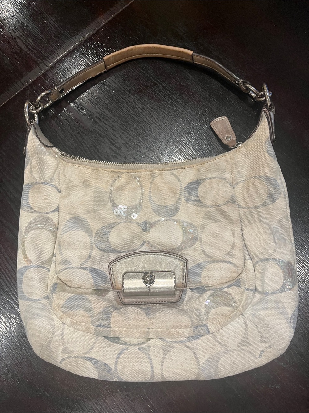 Coach Signature Canvas Hobo Bag in blue